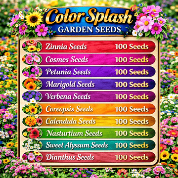 Color Splash Garden Seeds