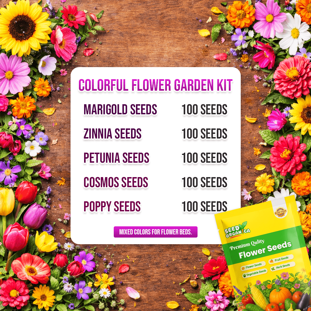 Colorful Flower Garden Kit