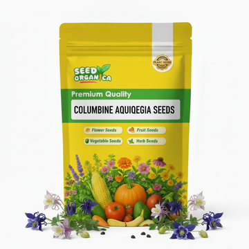 Columbine Aquilegia  Seeds