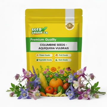 Columbine Seeds - Aquilegia Vulgaris