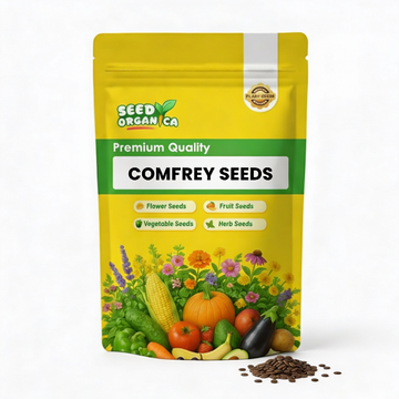 Comfrey Seeds