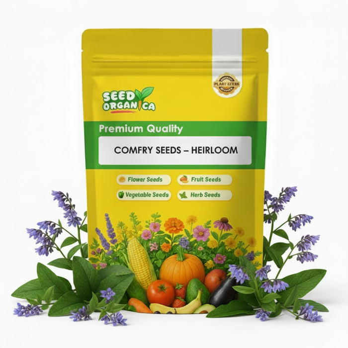 Comfrey Seeds – Heirloom
