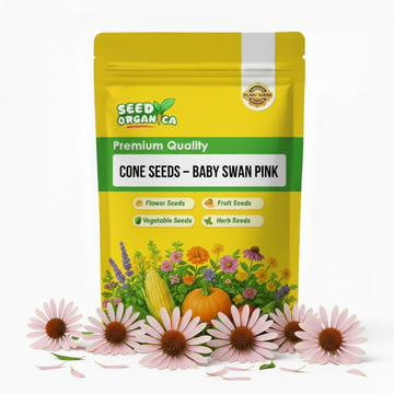 Cone Seeds – Baby Swan Pink