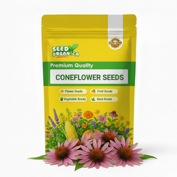 Coneflower Seeds