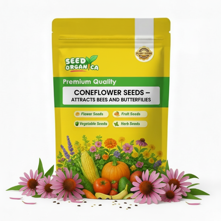 Coneflower Seeds – Attracts Bees and Butterflies