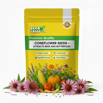 Coneflower Seeds – Attracts Bees and Butterflies