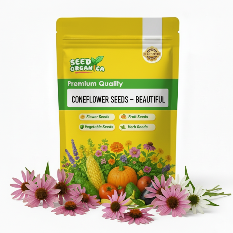 Coneflower Seeds – Beautiful