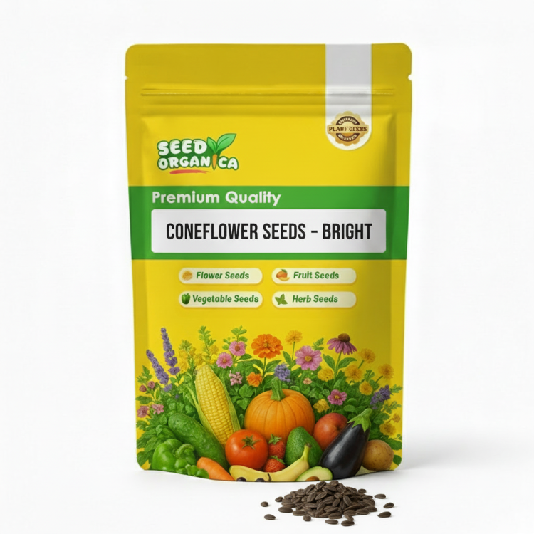 Coneflower Seeds – Bright