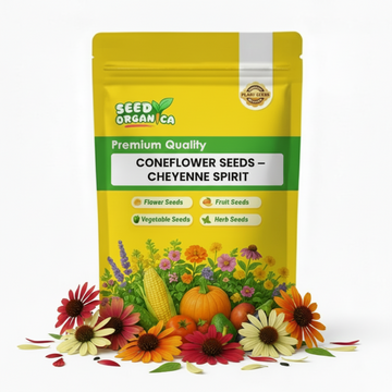Coneflower Seeds – Cheyenne Spirit