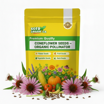 Coneflower Seeds – Organic Pollinator
