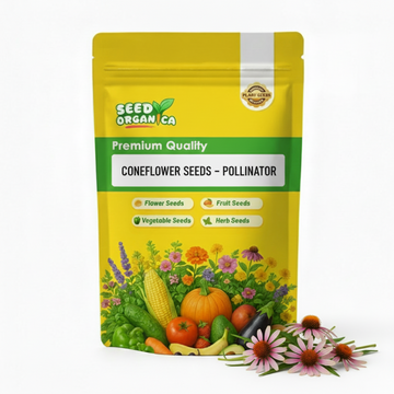 Coneflower Seeds –  Pollinator