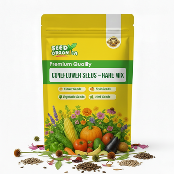 Coneflower Seeds – Rare Mix