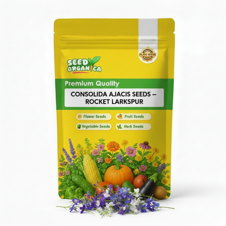 Consolida Ajacis Seeds – Rocket Larkspur
