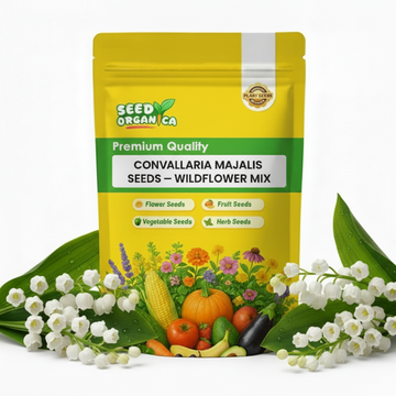 Convallaria Majalis Seeds – Wildflower Mix