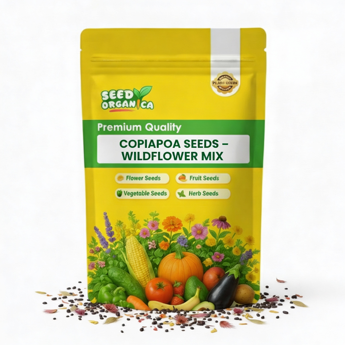 Copiapoa Seeds – Wildflower Mix