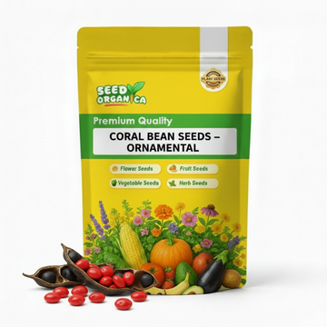 Coral Bean Seeds – Ornamental