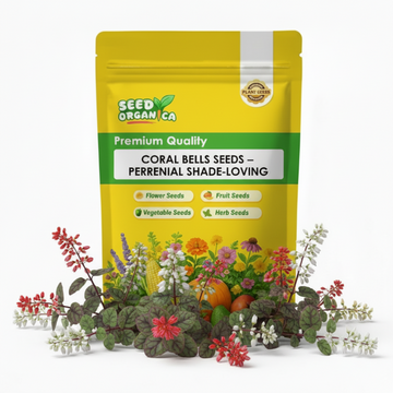 Coral Bells Seeds – Perennial Shade-Loving