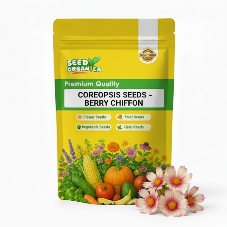 Coreopsis Seeds – Berry Chiffon