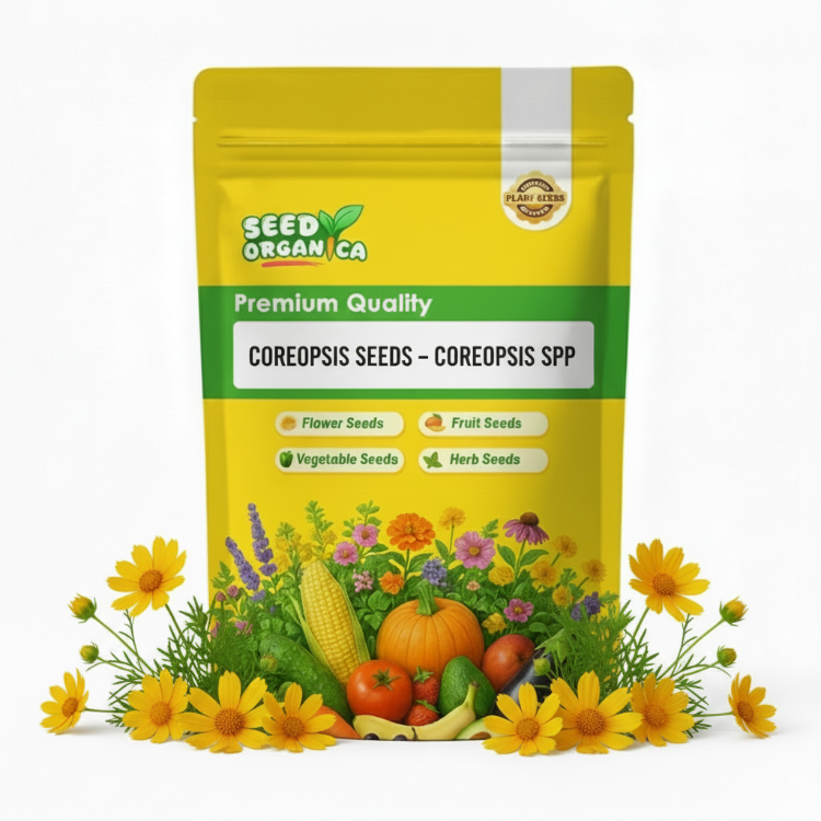 Coreopsis Seeds – Coreopsis spp