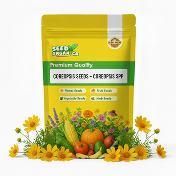 Coreopsis Seeds – Coreopsis spp