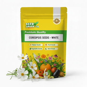 Coreopsis Seeds – White