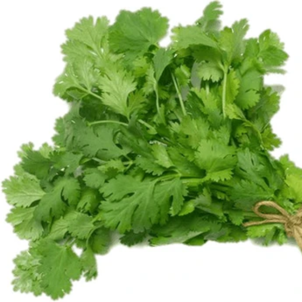 Coriander Seeds – Dwarf Lemon