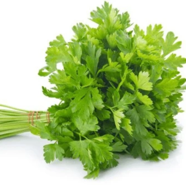 Coriander Seeds – Dwarf Lemon