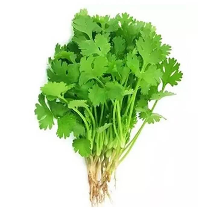 Coriander Seeds – Organic parsley