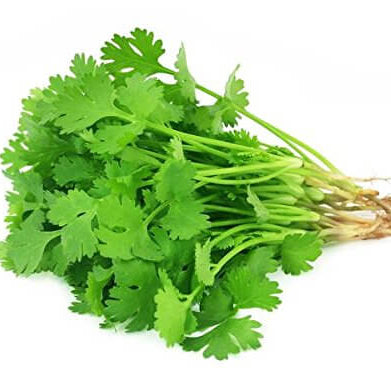 Coriander Seeds – Fiesta Green