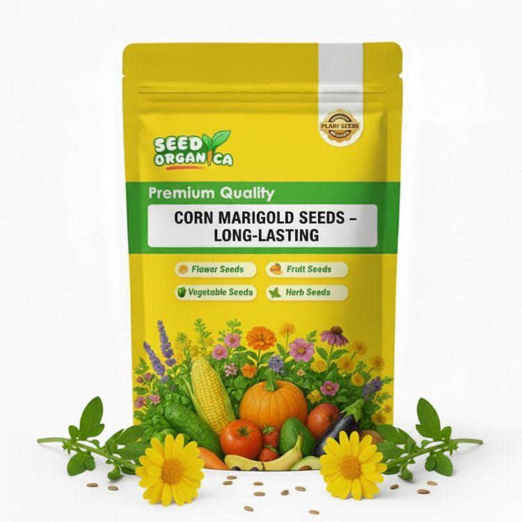 Corn Marigold Seeds – Long-Lasting