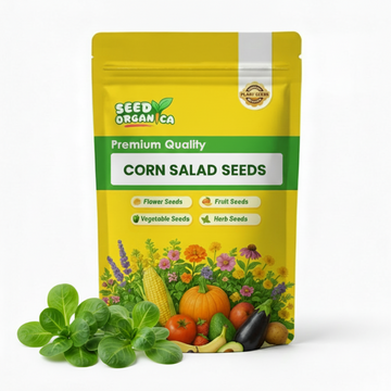 Corn Salad Seeds