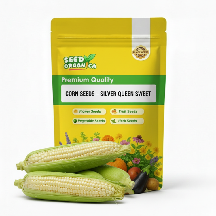 Corn Seeds – Silver Queen Sweet
