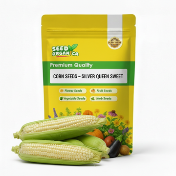 Corn Seeds – Silver Queen Sweet