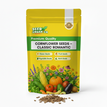 Cornflower Seeds – Classic Romantic