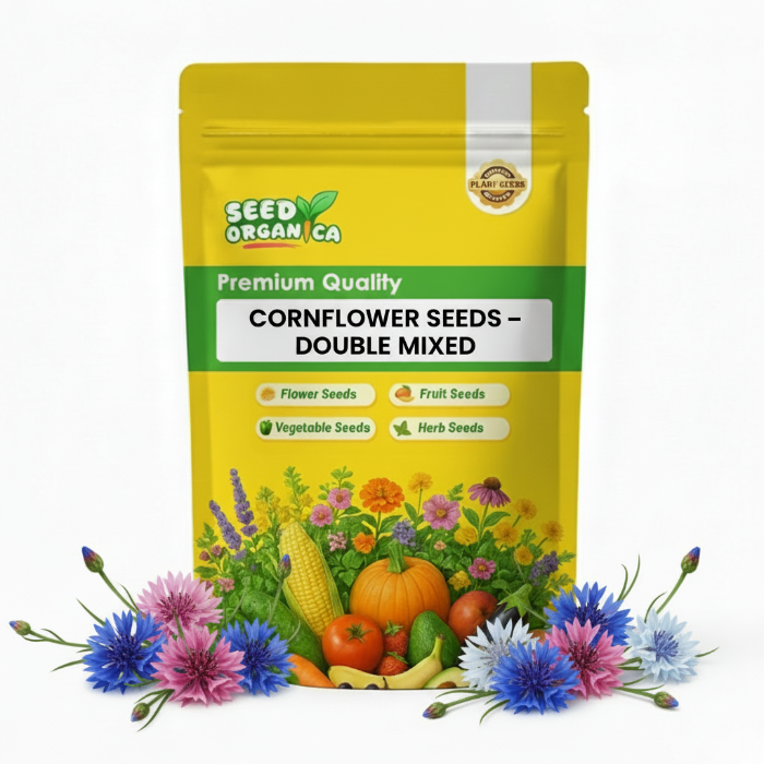 Cornflower Seeds – Double Mixed