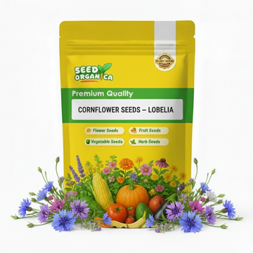 Cornflower Seeds – Lobelia