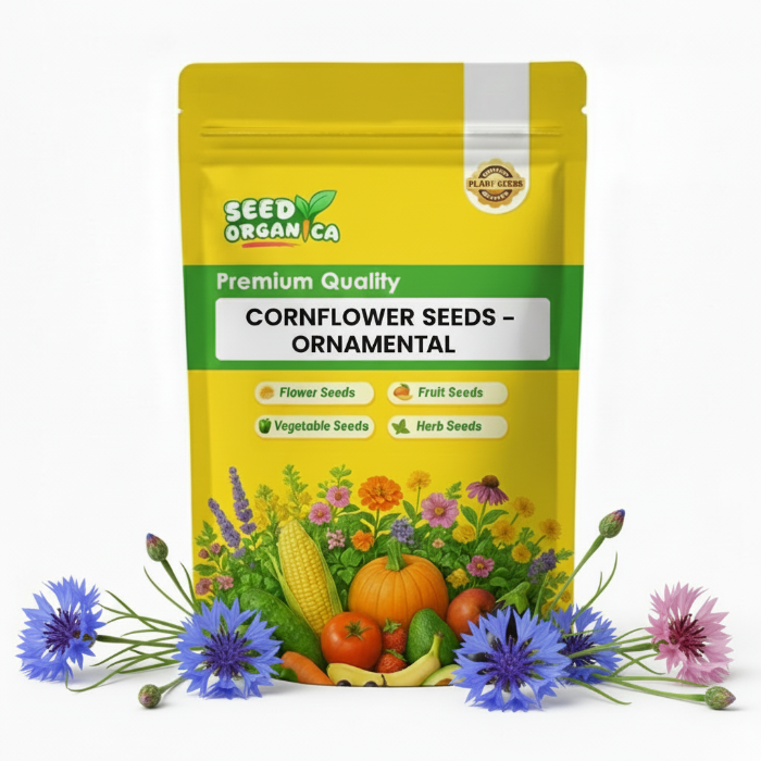Cornflower Seeds – Ornamental