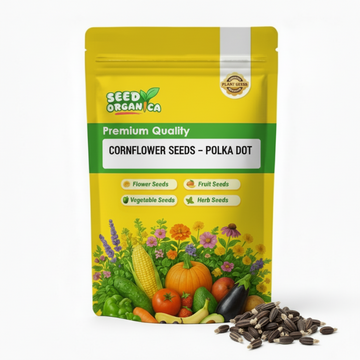 Cornflower Seeds – Polka Dot