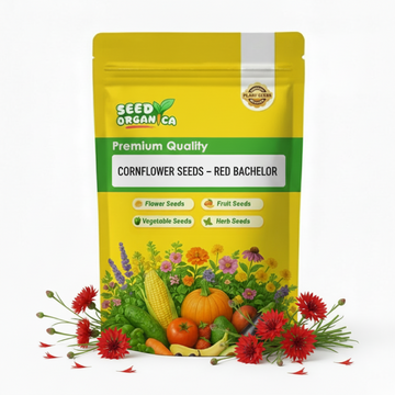 Cornflower Seeds – Red Bachelor
