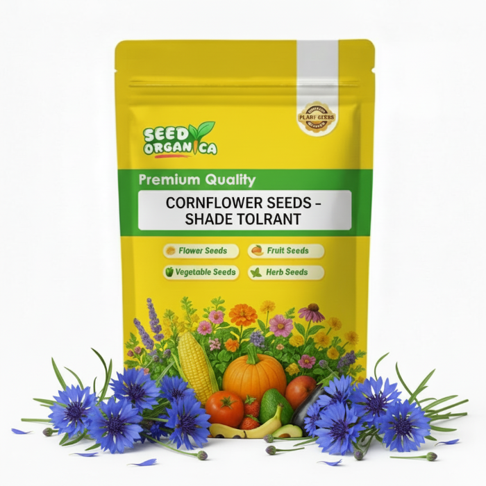 Cornflower Seeds – Shade Tolerant