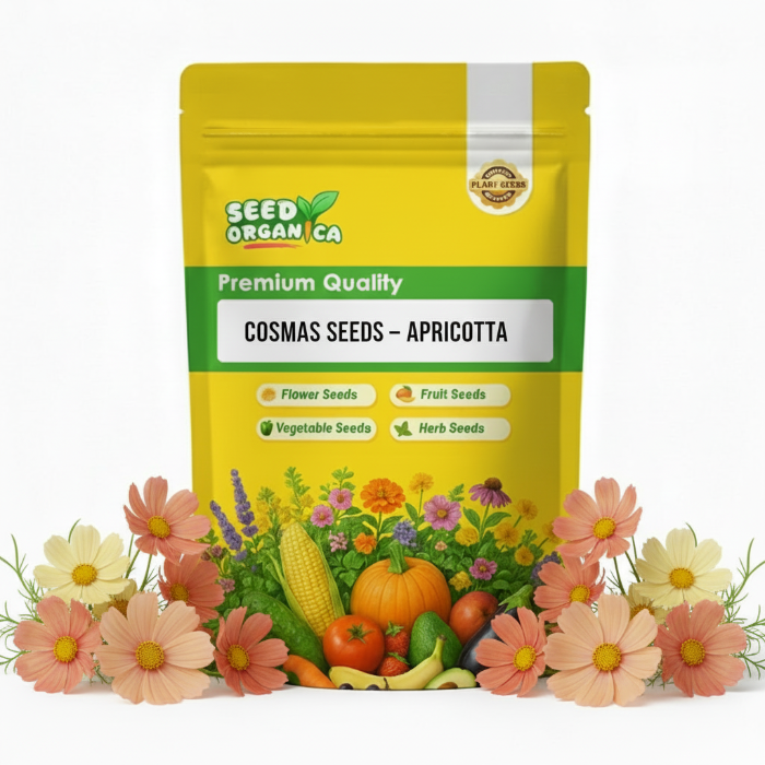 Cosmos Seeds – Apricotta