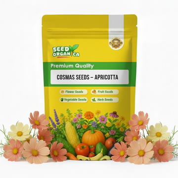 Cosmos Seeds – Apricotta