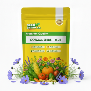 Cosmos Seeds – Blue
