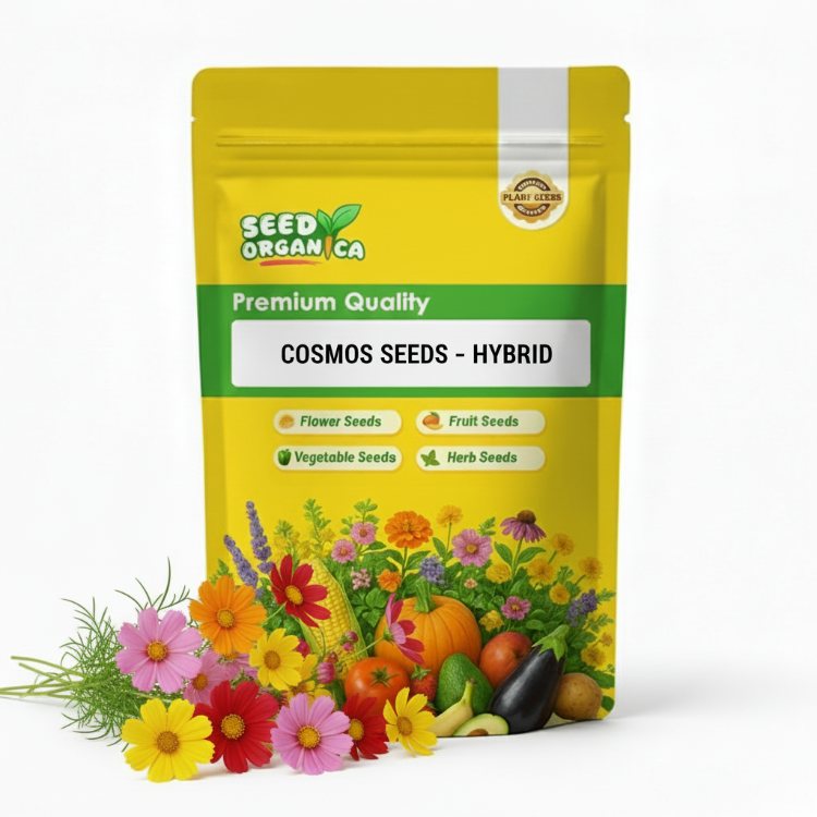 Cosmos Seeds –   Hybrid