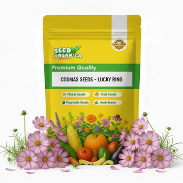 Cosmos Seeds – Lucky Ring
