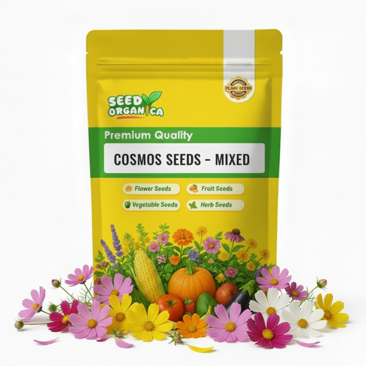 Cosmos Seeds – Mixed
