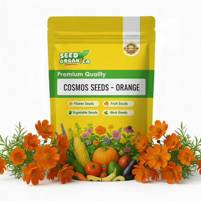Cosmos Seeds – Orange