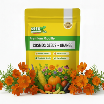 Cosmos Seeds – Orange