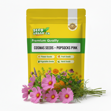 Cosmos Seeds – Popsocks Pink