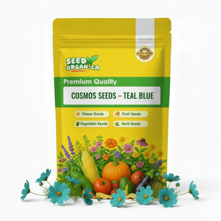 Cosmos Seeds – Teal Blue